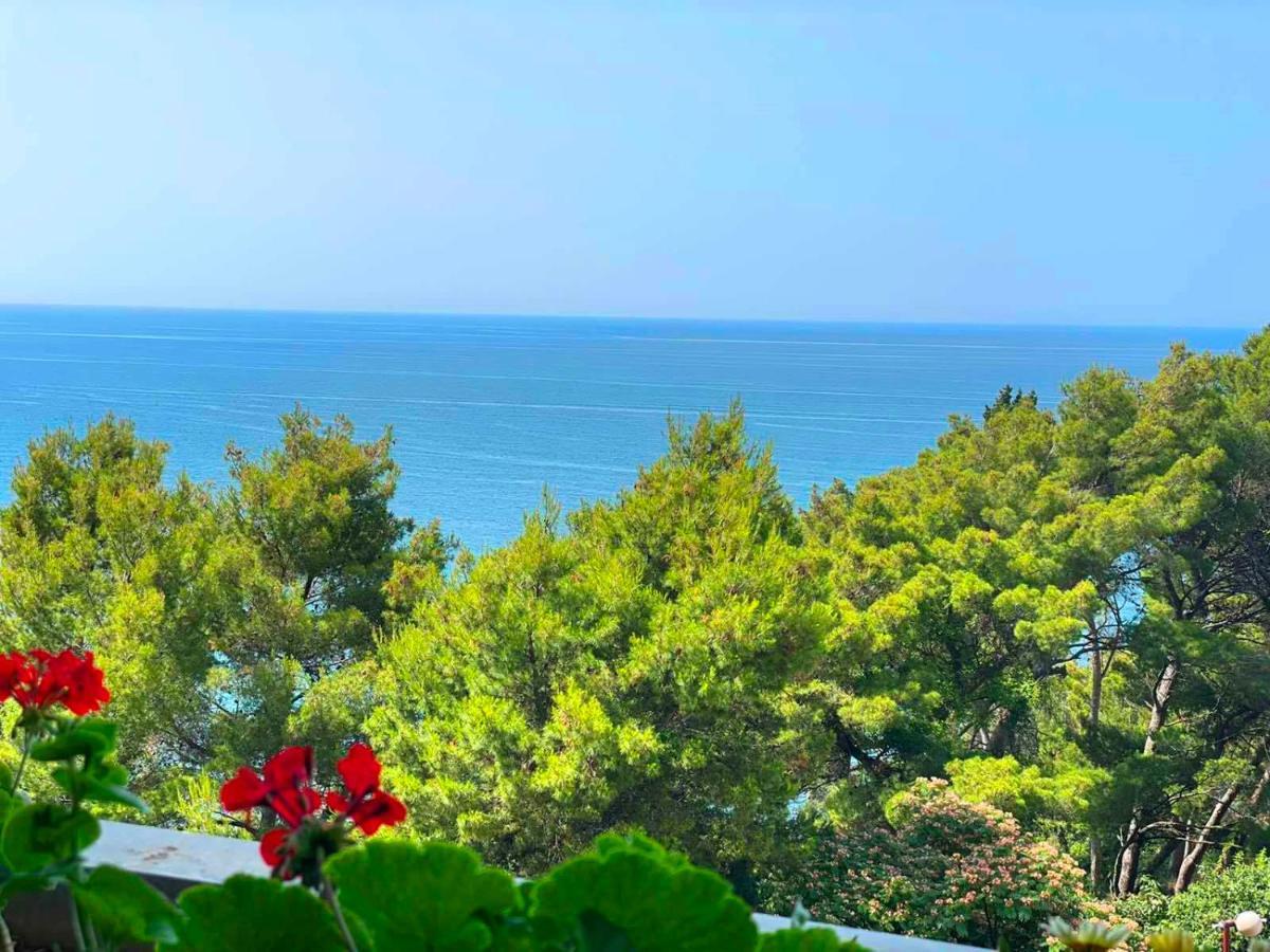 Corpus B - Hotel Albatros Ulcinj Ngoại thất bức ảnh